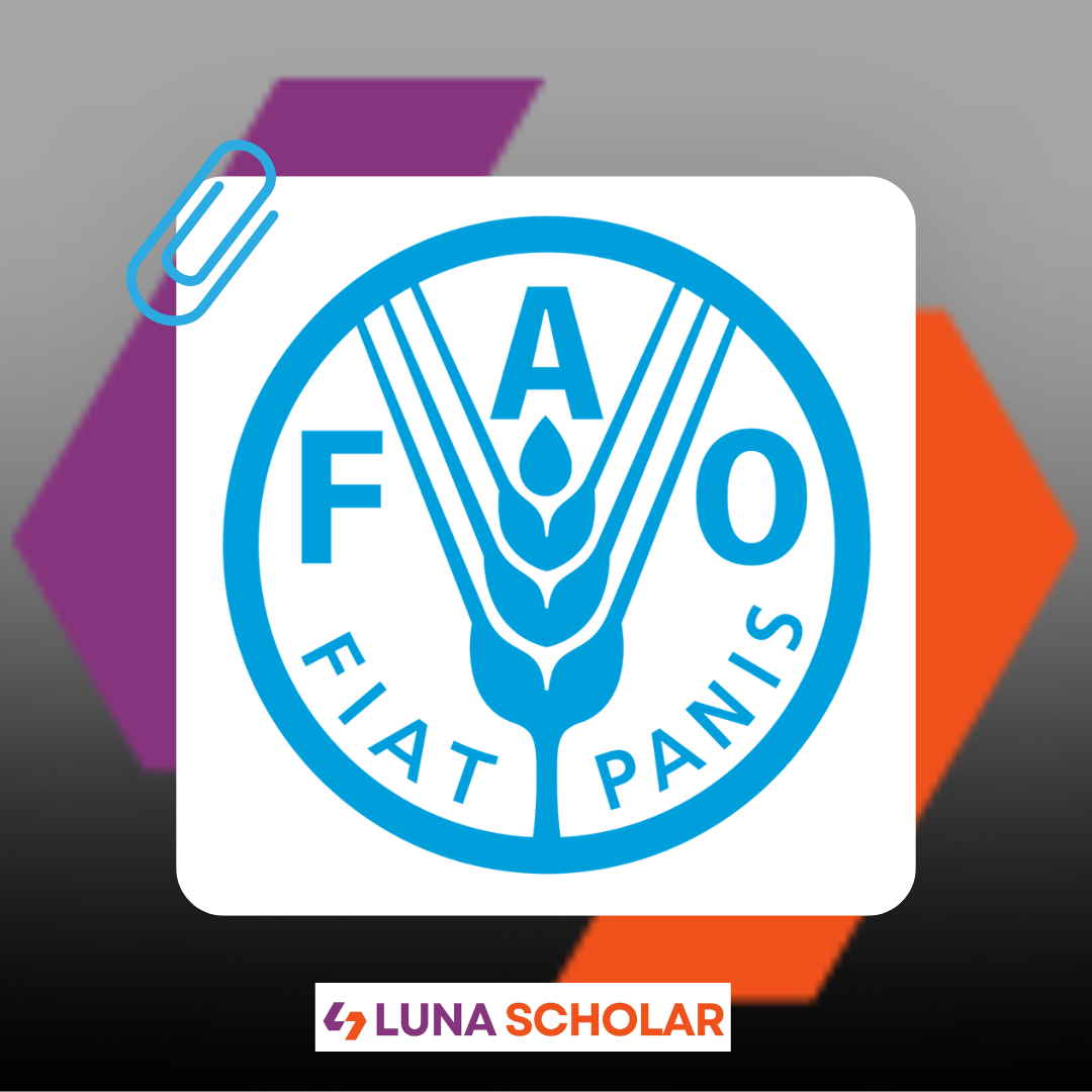 FAO Internship 2026 in Rome, Italy (Paid UN Opportunity)